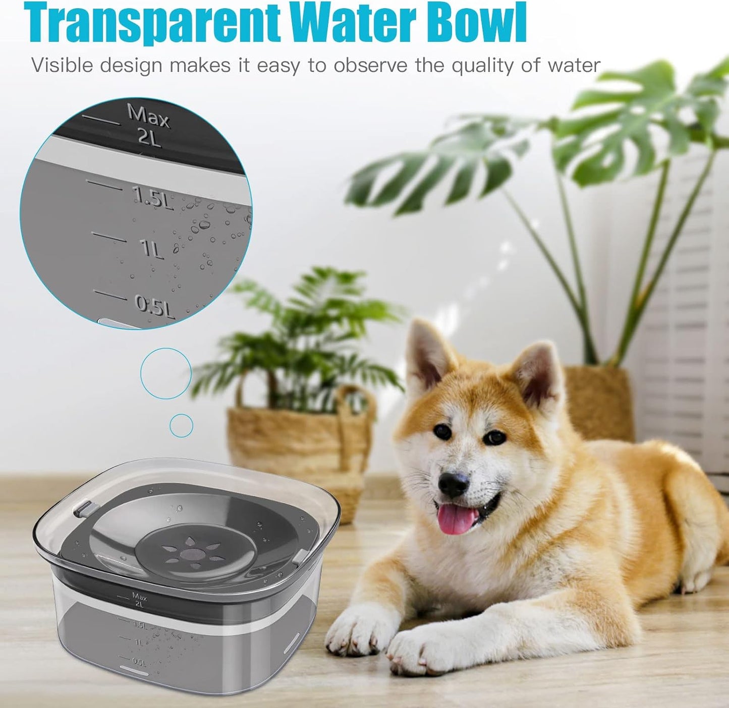 2L Anti-Splash Dog Water Bowl – Slow Drinking Pet Feeder | No Spill, Cleaner Floors